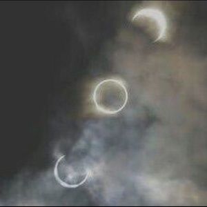 Meet your Posher, Cheyenne